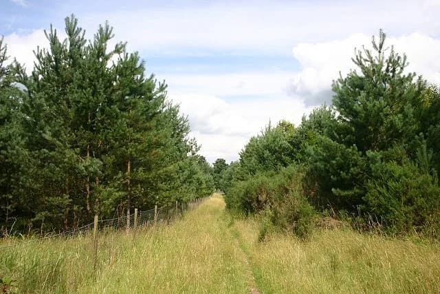 Thetford Golf Club
